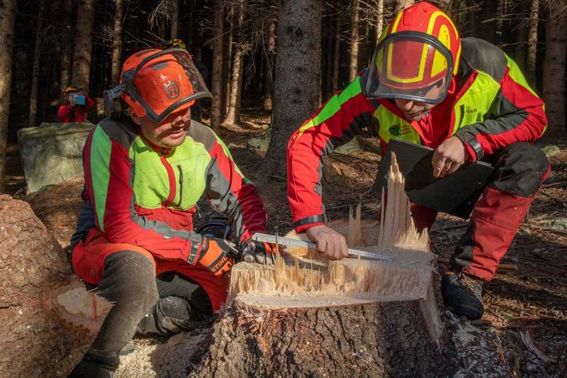 Operatore Idraulico Forestale - La Mimosa Onlus, foto 2